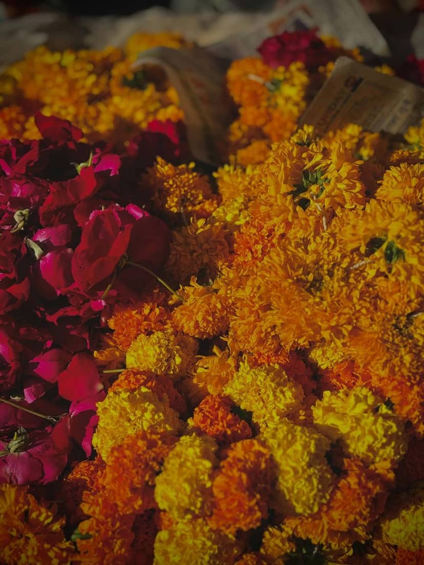 Marigolds and red rose petals